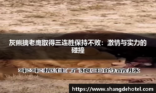 灰熊擒老鹰取得三连胜保持不败：激情与实力的碰撞