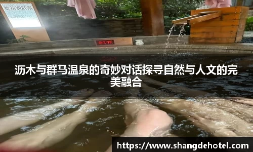 ballbet艾弗森体育
