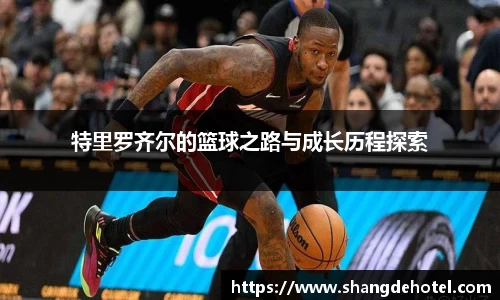 bb贝博艾弗森官方网站